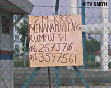 Kris Cut